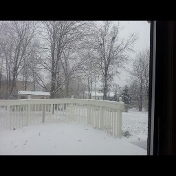 Ann Cavanaugh Photo 12