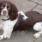 Mary Griffiths Photo 3