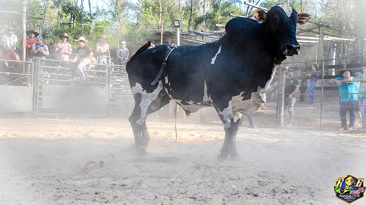 Felix Luciano Photo 18
