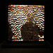 Michael Rozin Photo 11