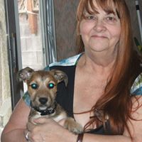 Mary Benoit Photo 4