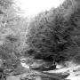Bill Lester Photo 31