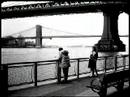 Matthew Sternberg Photo 18
