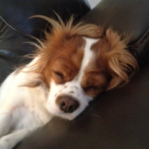 Shelby May Photo 9