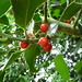 Holly English Photo 45