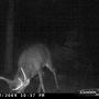 Travis Sparks Photo 28