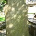 Samuel Mcdowell Photo 29