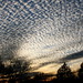 Bonnie Blanton Photo 29