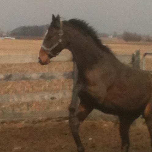 Christine Cagle Photo 10