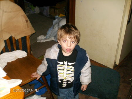 Donna Harding Photo 18