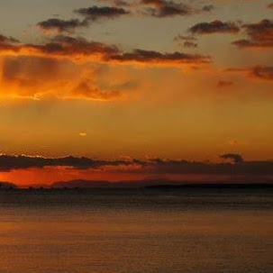 Salvatore Librizzi Photo 5