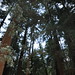 Beverly Muir Photo 17