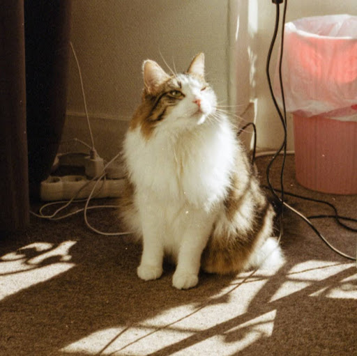 Ming Pang Photo 9