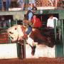Chris Menefee Photo 27