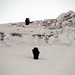 Mark Kautz Photo 19