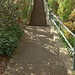 Warren Bush Photo 34
