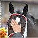 David Gotham Photo 20