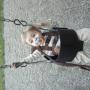 Melissa Dobbins Photo 26