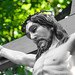 Anne Cross Photo 36
