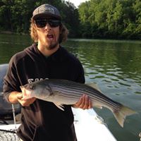 Kevin Hoff Photo 4