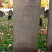 George Maples Photo 27