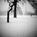 Diana Frost Photo 28