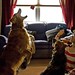 Lori Casey Photo 42