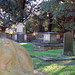 William Lockyer Photo 22