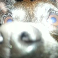 Ted Albrecht Photo 4