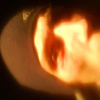 David Spiers Photo 2