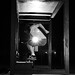 Trent Reed Photo 33