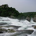 Carl Hesse Photo 29