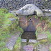Robin Wells Photo 45
