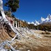 Crystal Ratcliff Photo 21