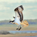 Bryan Hunt Photo 46