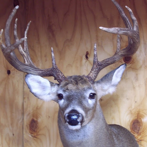 Skip Meyer Photo 5