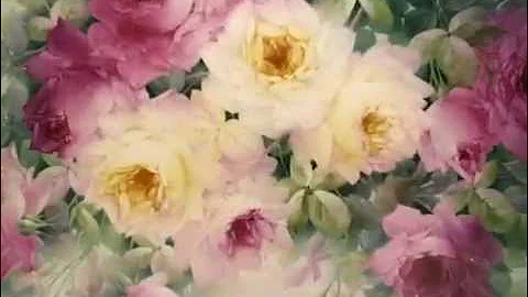 Paula Collins Photo 37