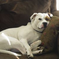Buster Carter Photo 6
