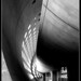 Charles Toledo Photo 28