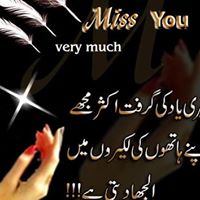 Muhammad Gul Photo 7