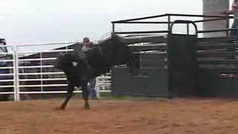 Carl Wilburn Photo 13