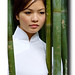 Yen Tang Photo 26