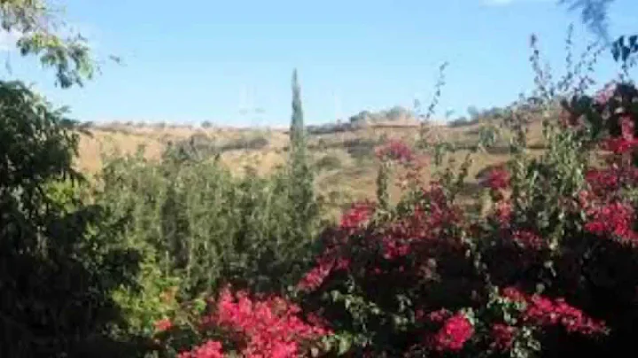 Alma Ocampo Photo 27