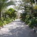 Samir Ahmed Photo 43