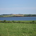 Edward Field Photo 39
