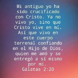 Nancy Crespo Photo 10