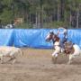 Steven Norton Photo 29
