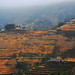 Linh Giang Photo 28