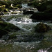 Frederick Moss Photo 25