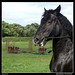 Mark Clarkson Photo 34